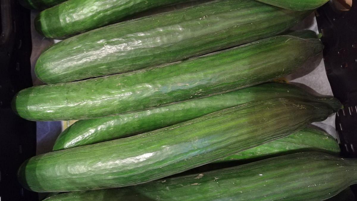 DGB fordert Null-Mehrwertsteuer auf Lebensmittel und Energie