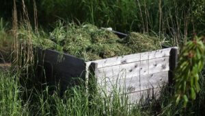 Mähroboter im Visier