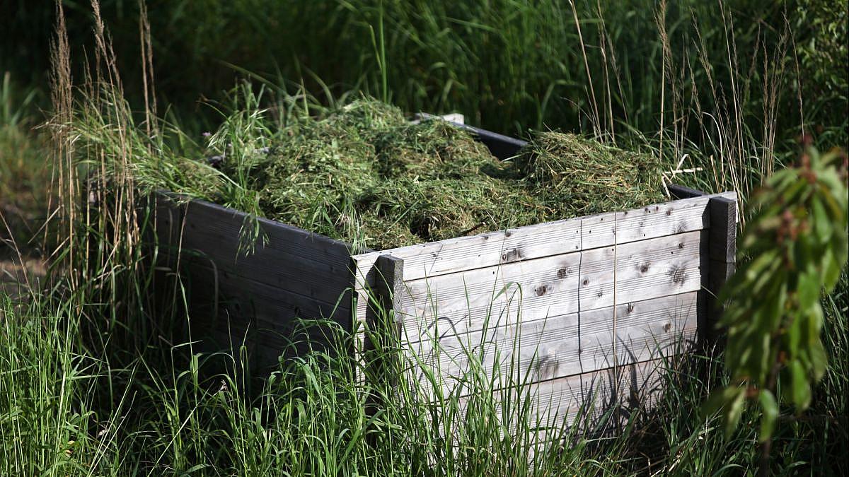 Mähroboter im Visier