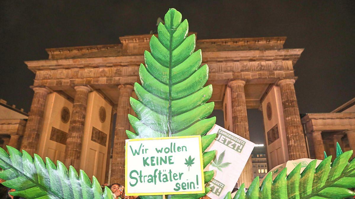 Cannabis-Legalisierung in der Kritik: Forscher melden „Fehlentwicklungen“