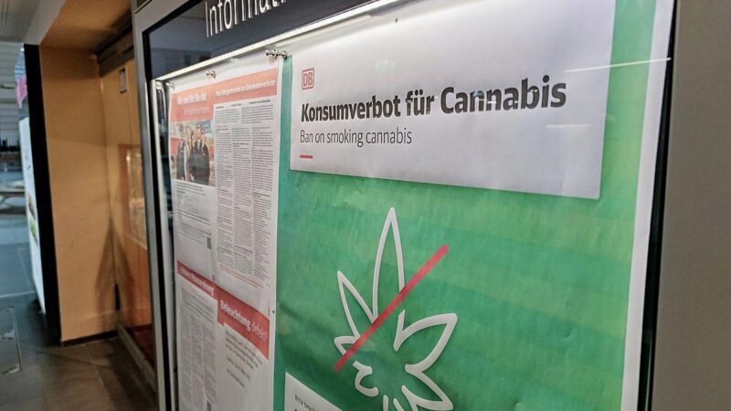 Grüne fordern mehr legale Cannabis-Zugänge – Sorge vor neuen Graumärkten