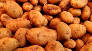 Bauern spüren Preiskollaps: Erzeugerpreise im Sinkflug Bauern spüren Preiskollaps: Erzeugerpreise im Sinkflug