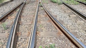 Bahn-Kosten explodieren: Unkrautbekämpfung wird dramatisch teurer Bahn-Kosten explodieren: Unkrautbekämpfung wird dramatisch teurer