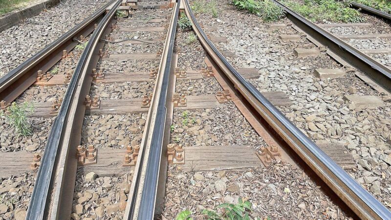 Bahn-Kosten explodieren: Unkrautbekämpfung wird dramatisch teurer