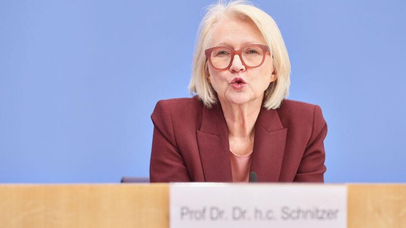 Wirtschaftsweise rät von Spritpreis-Stopp ab – fordert Klimageld