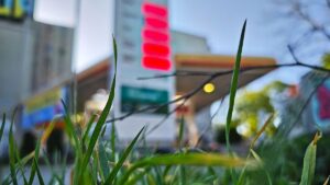 Landkreise schlagen Alarm: „Keine Anzeichen für sinkende Spritpreise“
