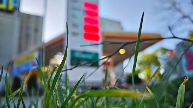 Landkreise schlagen Alarm: „Keine Anzeichen für sinkende Spritpreise“