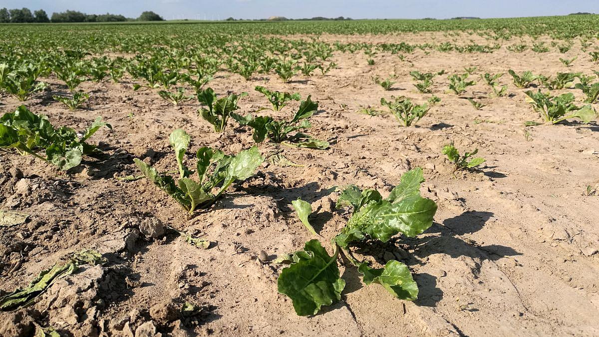 Klimasorgen steigen – aber nicht wie in den 80ern