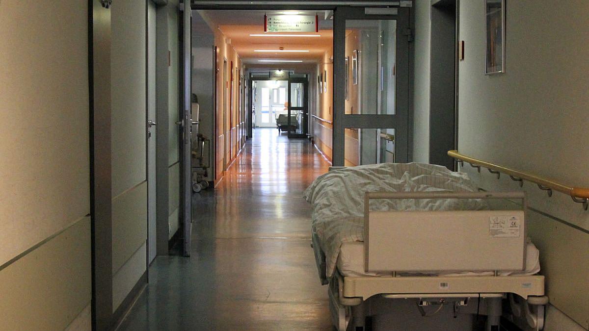Pflegeversicherung am Limit – Chef fordert Milliarden vom Staat