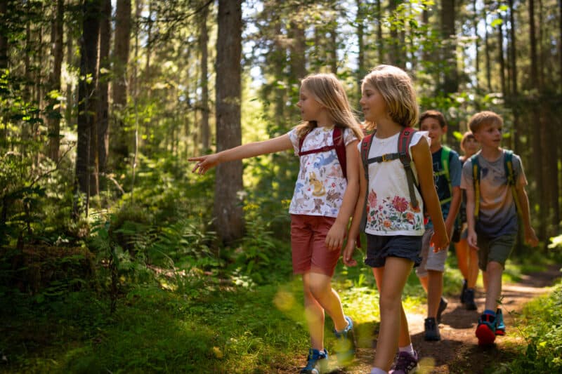 Natur entdecken statt Langeweile: Im Hochschwarzwald warten in den Sommerferien rund 70 Familien-Abenteuer