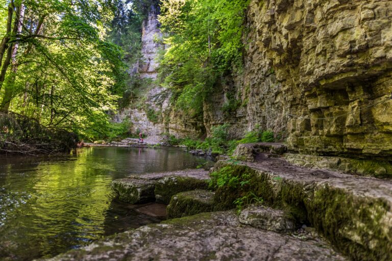 Wenn der Schwarzwald zur Klimaanlage wird: Diese 16 Ausflüge bringen echte Abkühlung