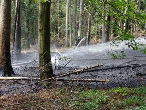 Flammen schlagen bis zu 15 Meter hoch: Feuerwehr stoppt Waldbrand bei Bad Teinach-Zavelstein Flammen schlagen bis zu 15 Meter hoch: Feuerwehr stoppt Waldbrand bei Bad Teinach-Zavelstein