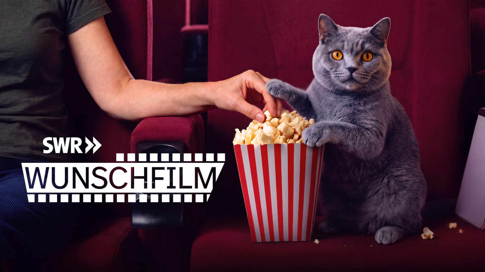 SWR lässt die Zuschauer entscheiden: Diese drei Filmklassiker stehen am 15. August zur Wahl
