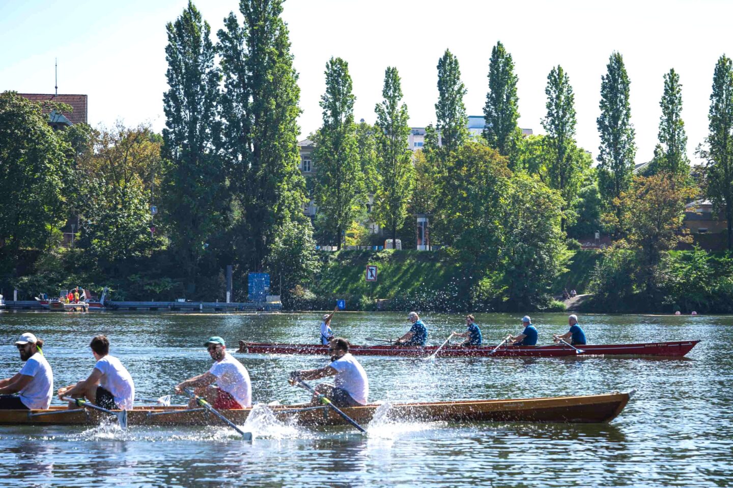 Heidelberg: „Rudern gegen Krebs“ startet am Samstag auf dem Neckar