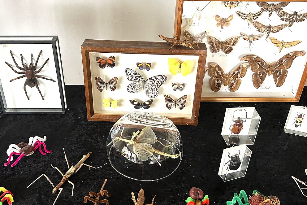 Kastanientiere aus Naturmaterialien in der Wilhelmaschule
