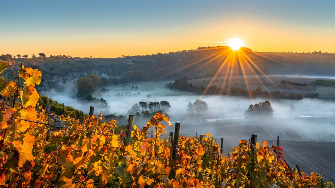 Blinded by the light